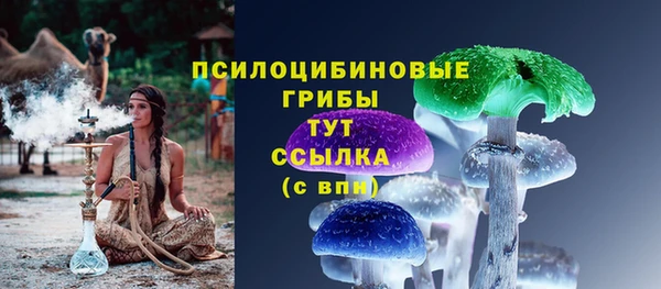 прущий лед Алзамай